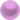 Lavender Purple