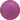 Matt Purple