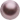 Powder Rose